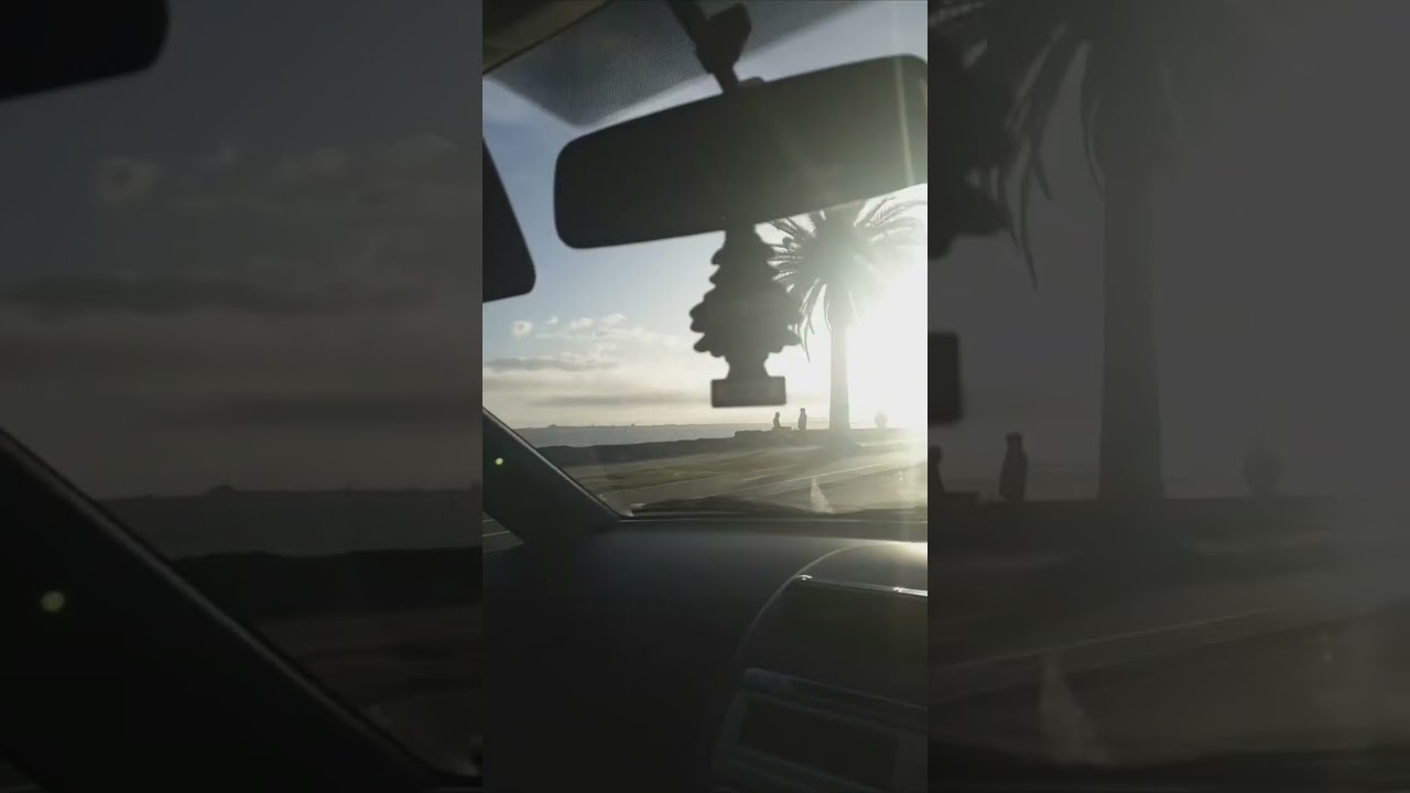 Driving is my passion #australia #melbourne #starusvideo #shorts