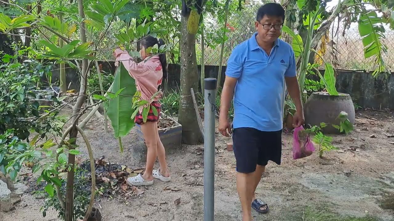 (21) Hái đậu rồng 