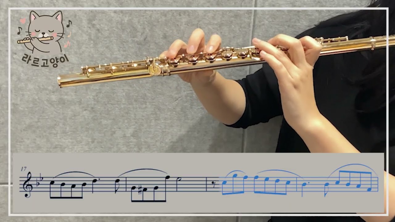 (피아노 반주) Ennio Morricone - Cinema Paradiso (Love Theme)  for Flute and Piano Accompaniment