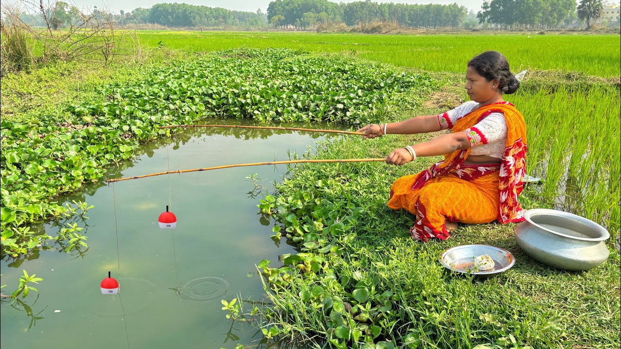 Fishing Video || Traditional lady hook fishing in the paddy field canal using two fishing rods 