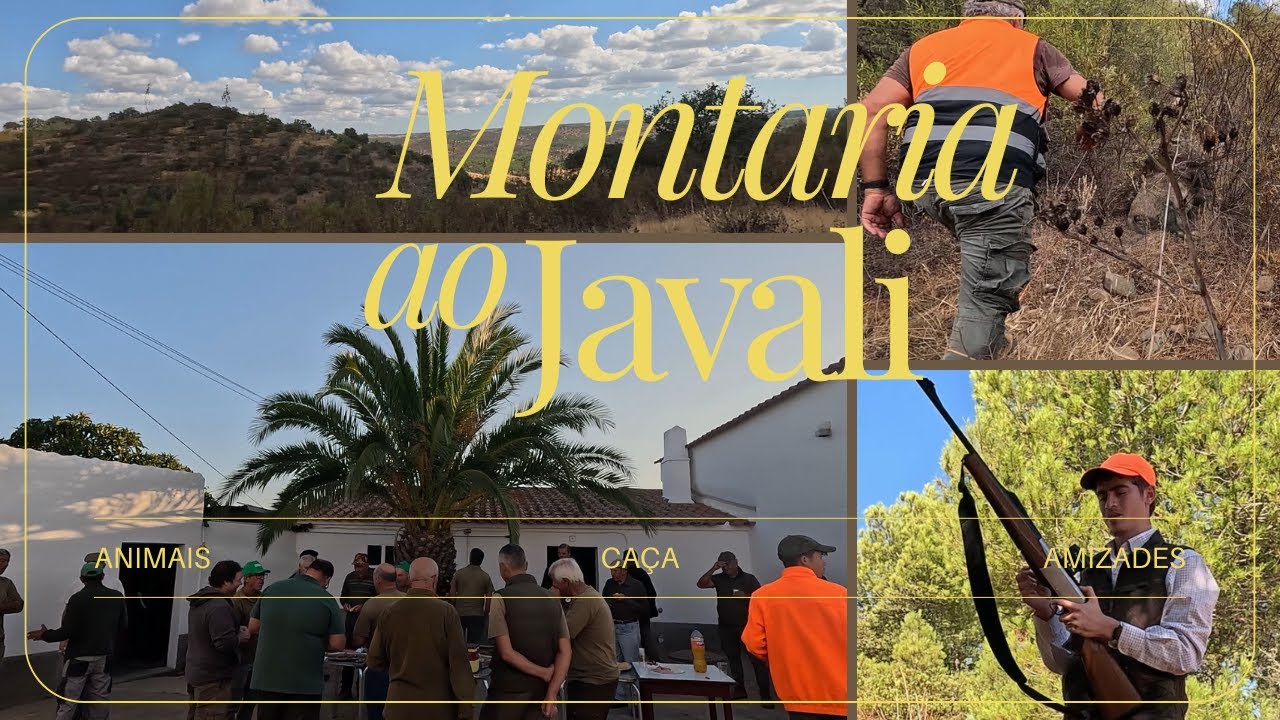 Montaria ao javali no Alentejo
