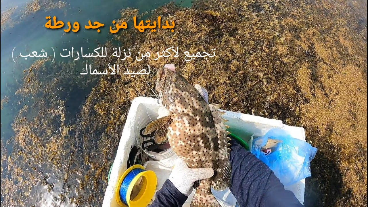 بدايتها من جد ورطة .. تجميع لأكثر من نزلة للكسارات أو الشعب لصيد الأسماك.