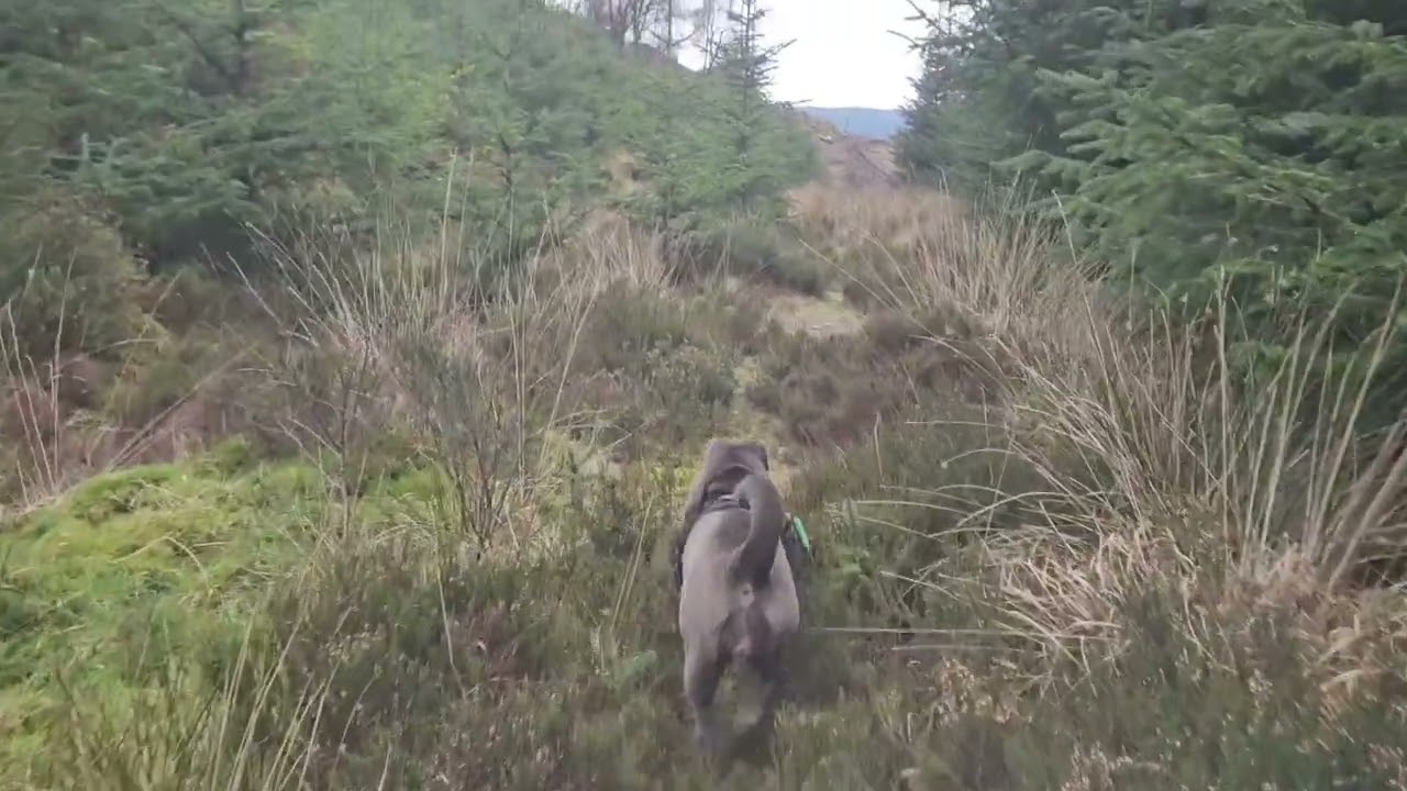 Winter walk in the hills 