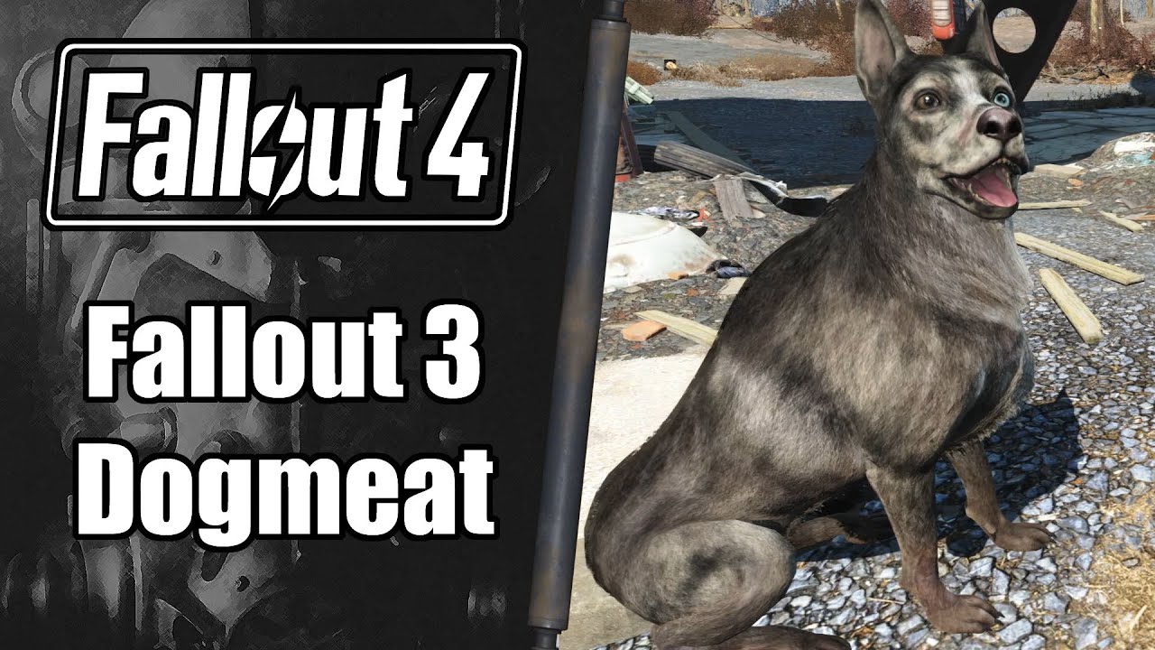 Fallout 4 Mod Review: Capital Wasteland Dogmeat!