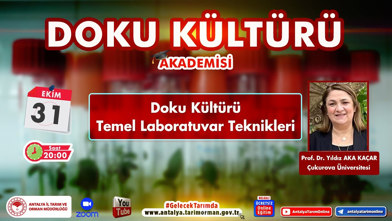 Doku Kültürü Akademisi-2 Doku Kültürü Temel Laboratuvar Teknikleri Prof.Dr.Yıldız Aka Kaçar