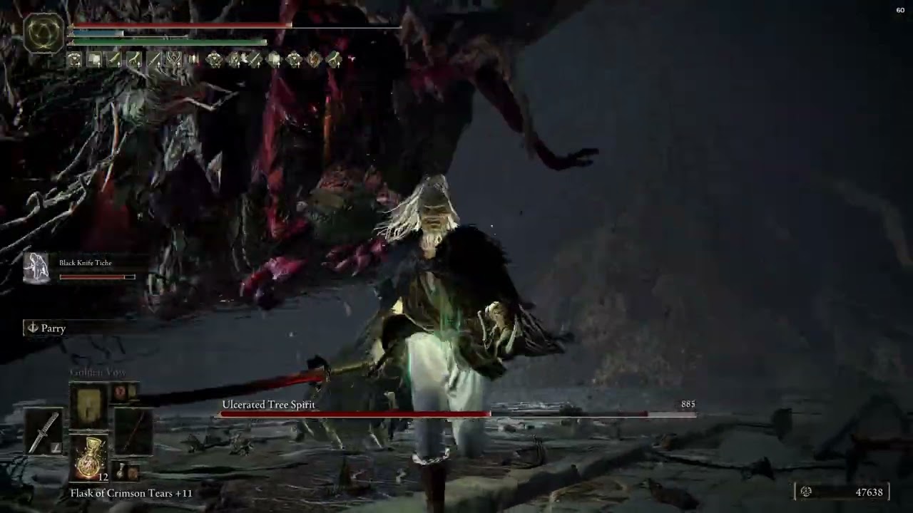 Alecto, Black Knife Ringleader  vs Dungeon Boss Ulcerated Tree Spirit