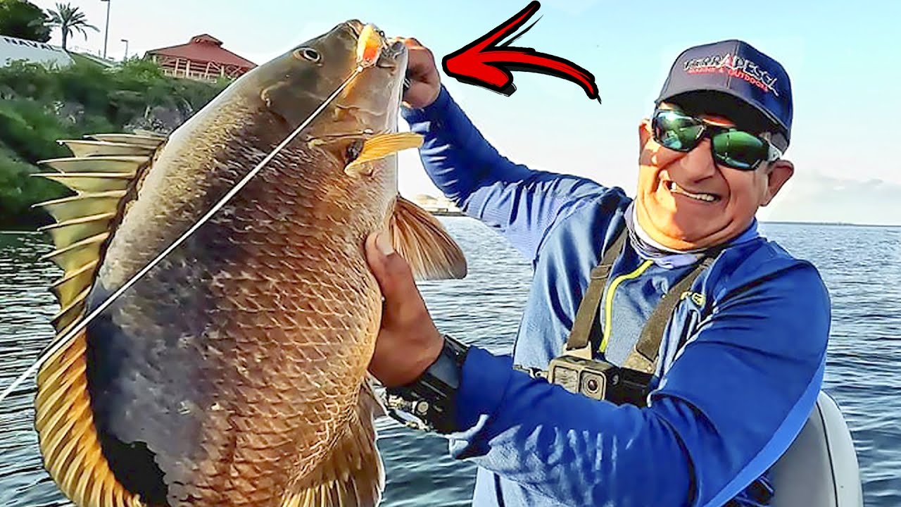 ESTE PODRIA SER mi MEJOR PARGO al CASTING en la BAHIA