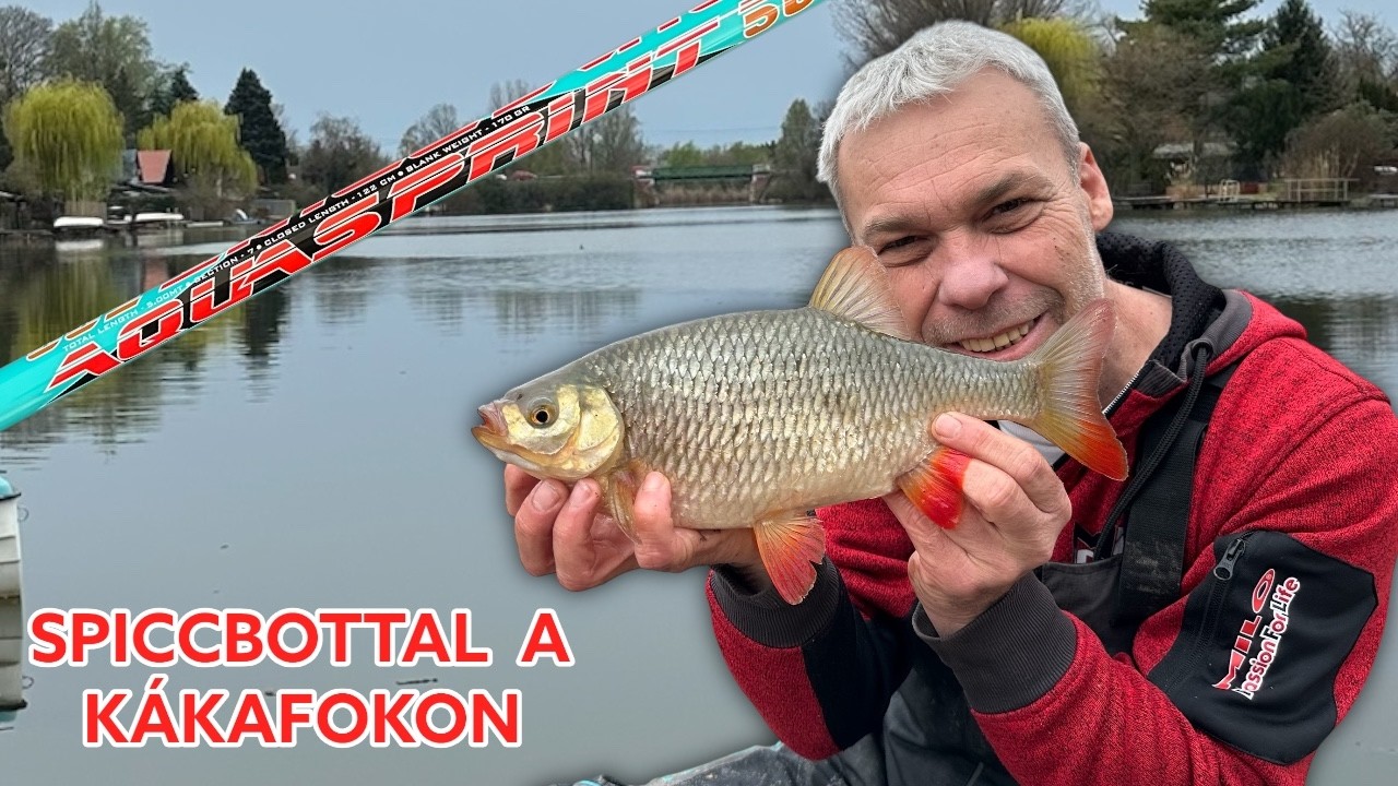 SPICCBOTTAL A K&Aacute;KAFOKON