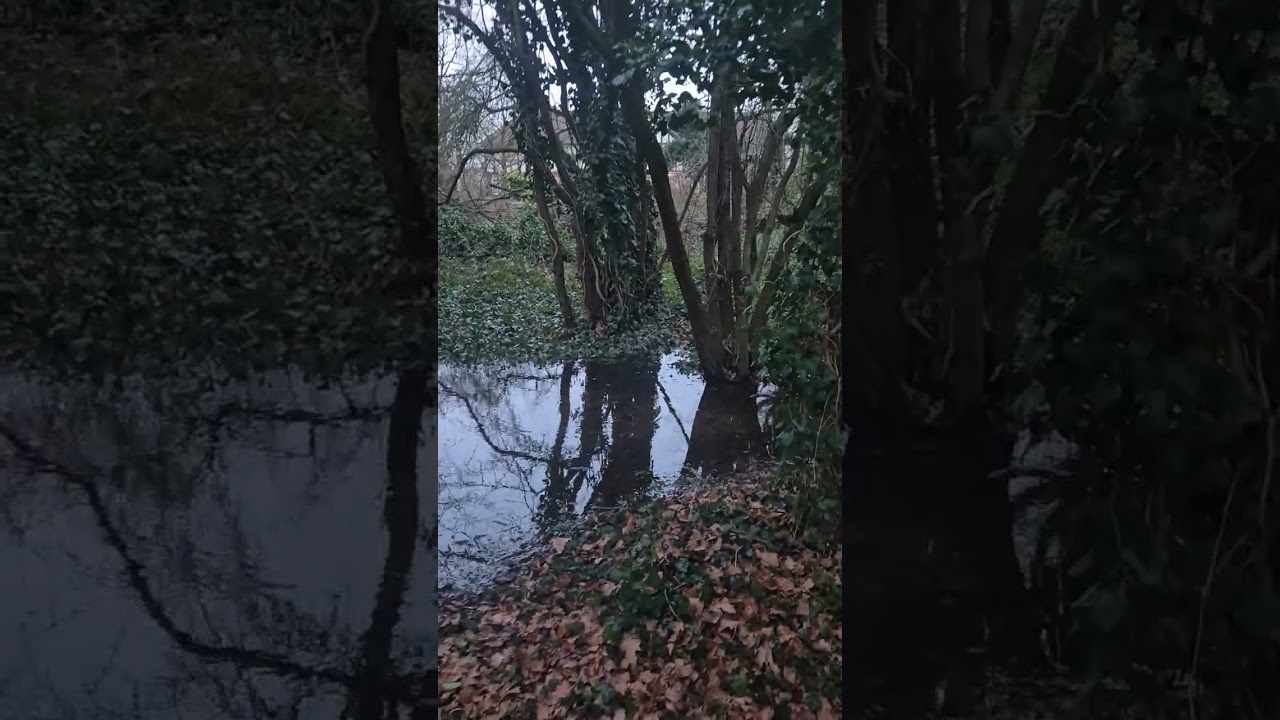 When the water company mess up the common floods