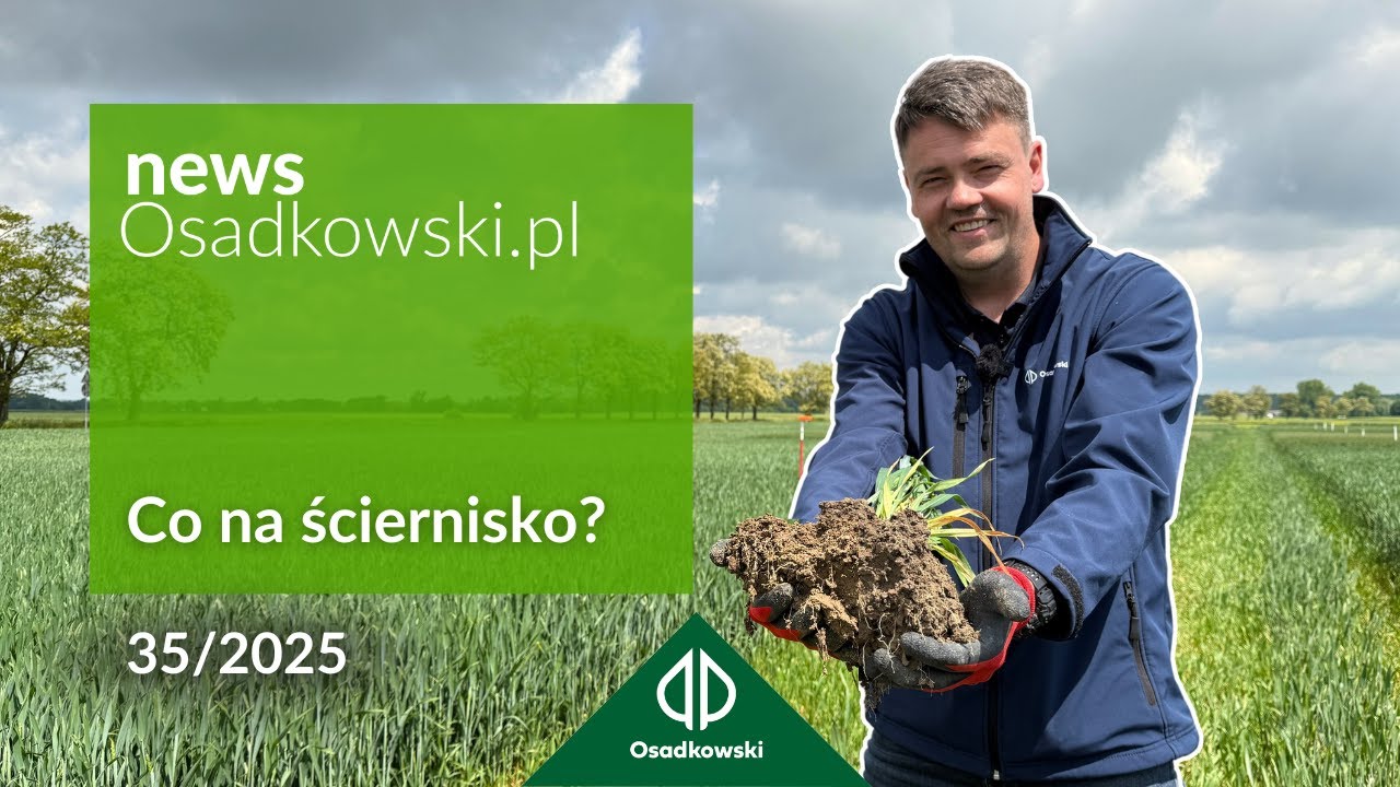 Żyzność gleby po żniwach. Humifikacja, mineralizacja i bakterie w praktyce
