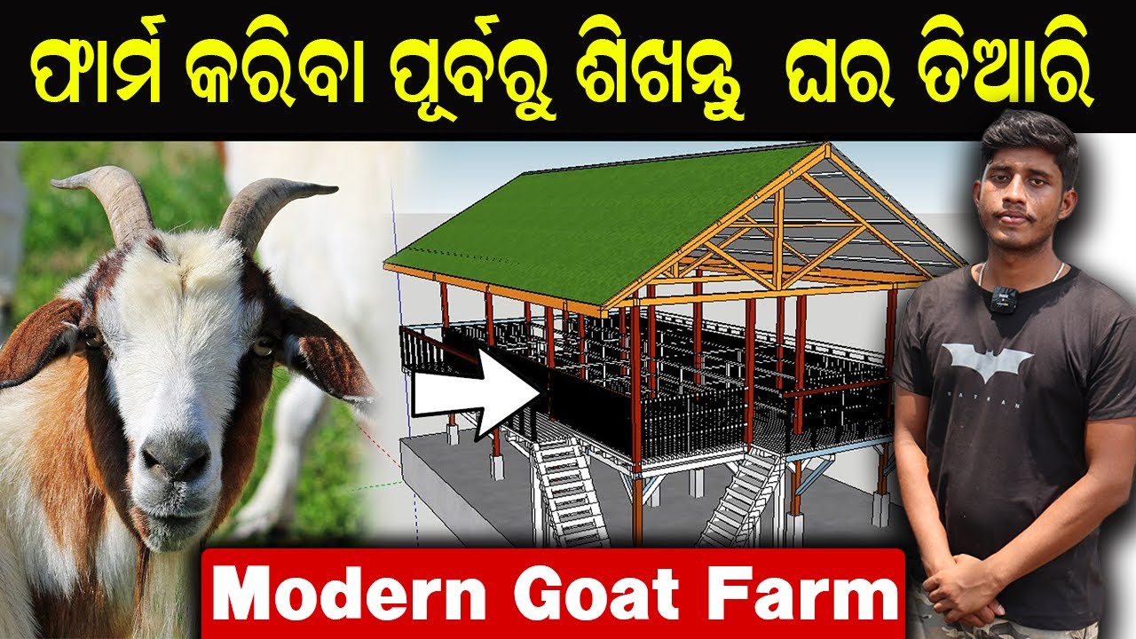 ଛେଳି ପାଇଁ ଆଧୁନିକ ଘର || How To Start Modern Goat Farm In Odisha.