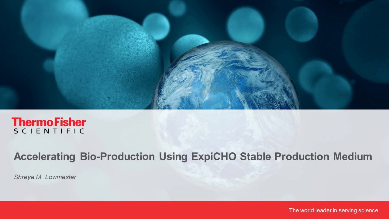 Accelerating Bio-Production Using ExpiCHO Stable Production Medium