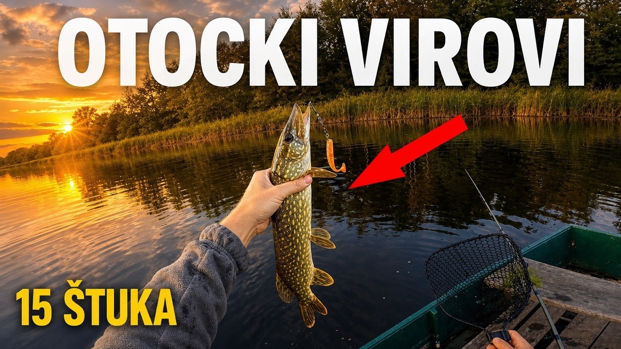 15 ЩУК за ОДИН ДЕНЬ! 🎣🔥 + голавль, которого НЕ ВИДЕЛ 15 ЛЕТ! 😱 (Otočki virovi)