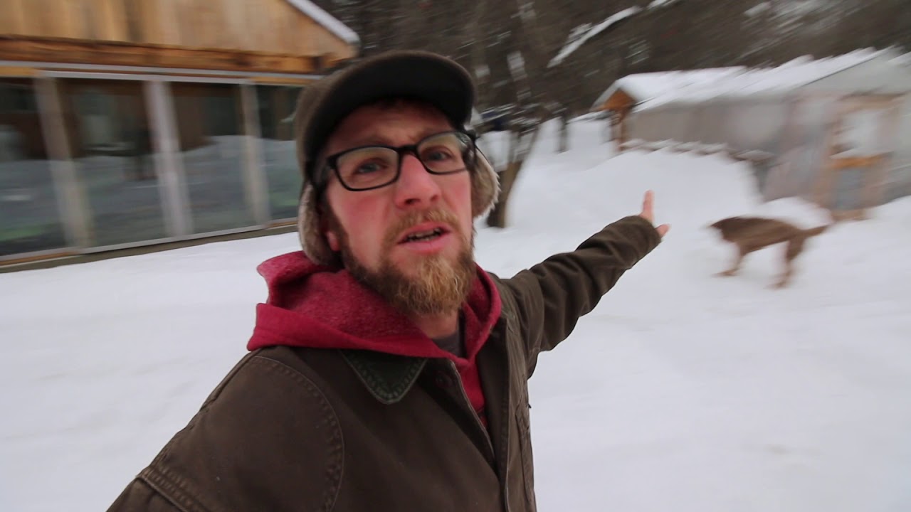 20,000 Modern Steader Update ~ How we are Storing the Best Chick Brooder