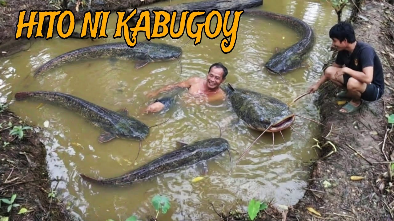 ANG TAKAW NG MGA HITO NI KABUGOY