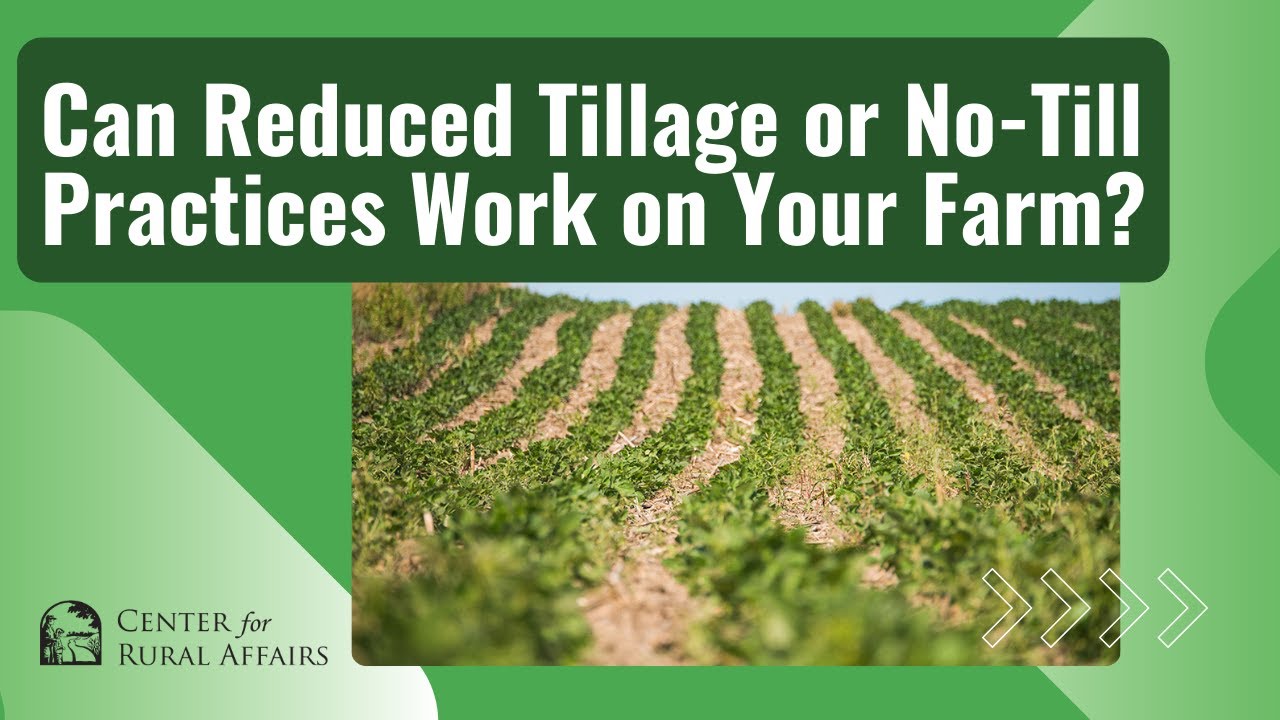 Can Reduced Tillage or No-Till Practices Work on Your Farm?
