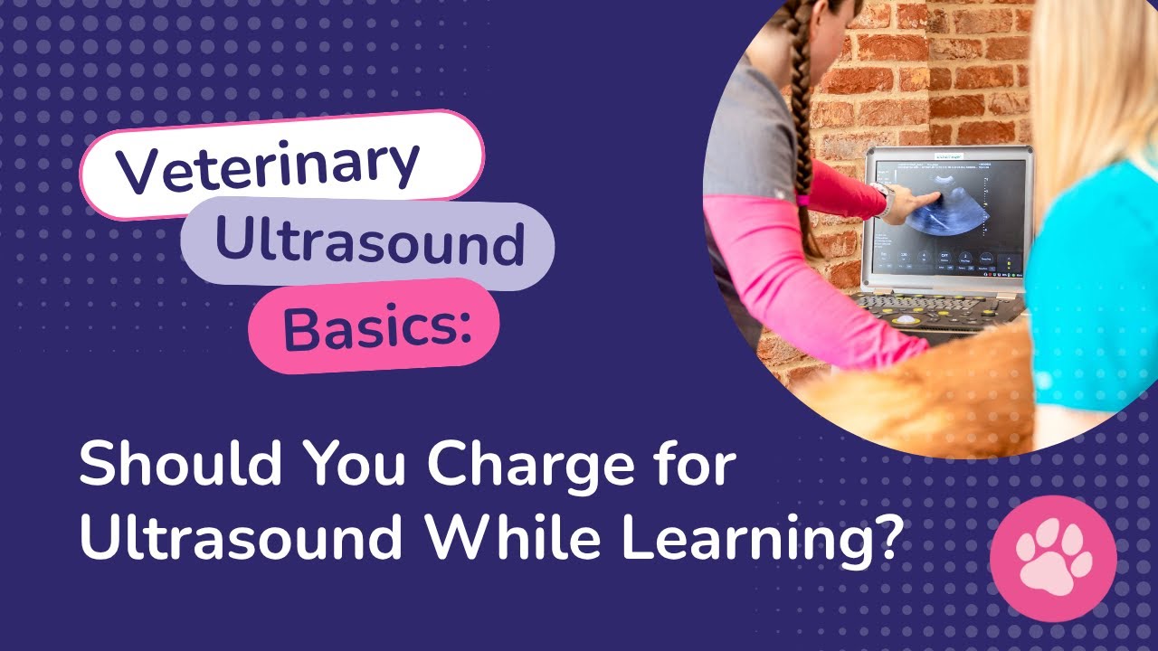 Veterinary Ultrasound Basics: Should You Charge for Ultrasound While Learning?