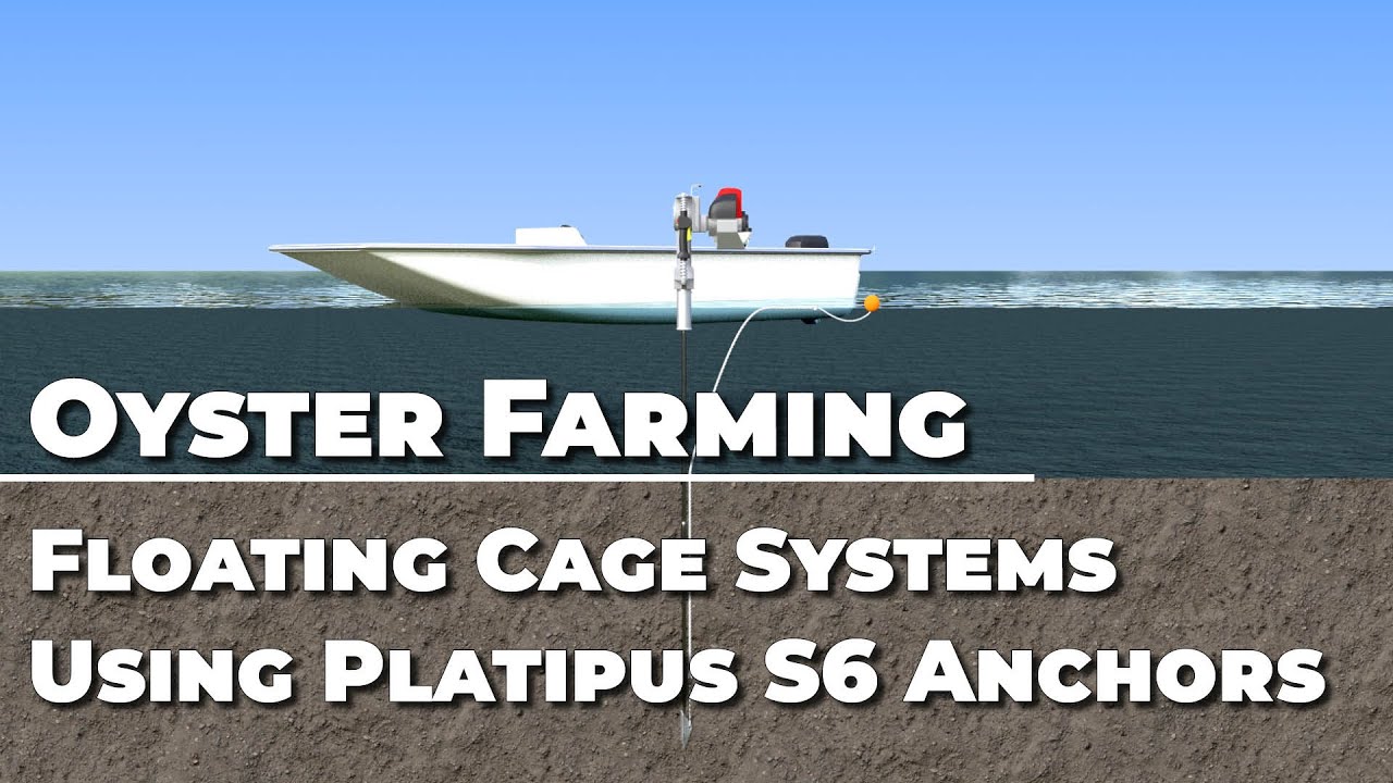 Oyster Farming - Floating Cage systems Using Platipus S6 Anchors UK