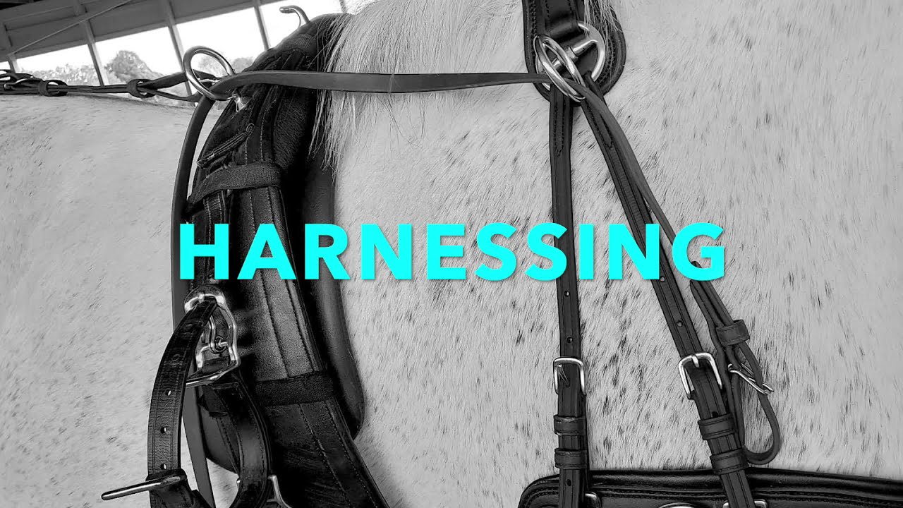 Harnessing
