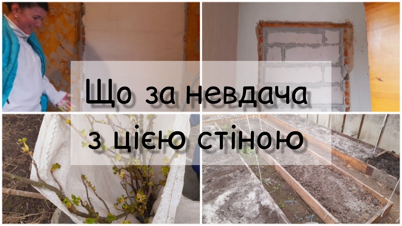 НЕ ВИХОДИТЬ ЗАШТУКАТУРИТИ ПРОХІД | ПОСАДИЛИ плодові КУЩІ |ПІДГОТОВКА ТЕПЛИЦІ до сезону