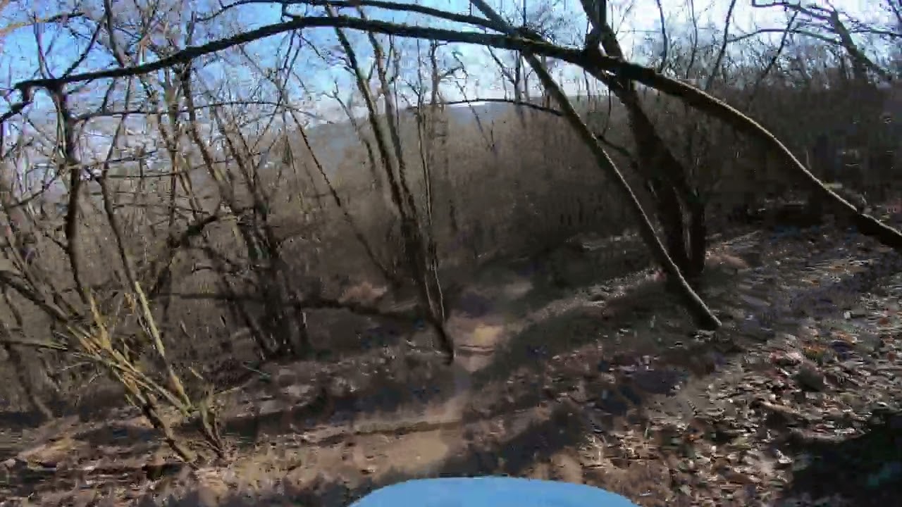 Hardtail Hooning - Sityisutyi