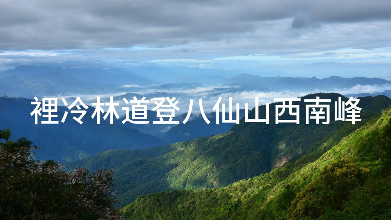 113-06-08 台中和平：裡冷林道、24K工寮、八仙山西南峰