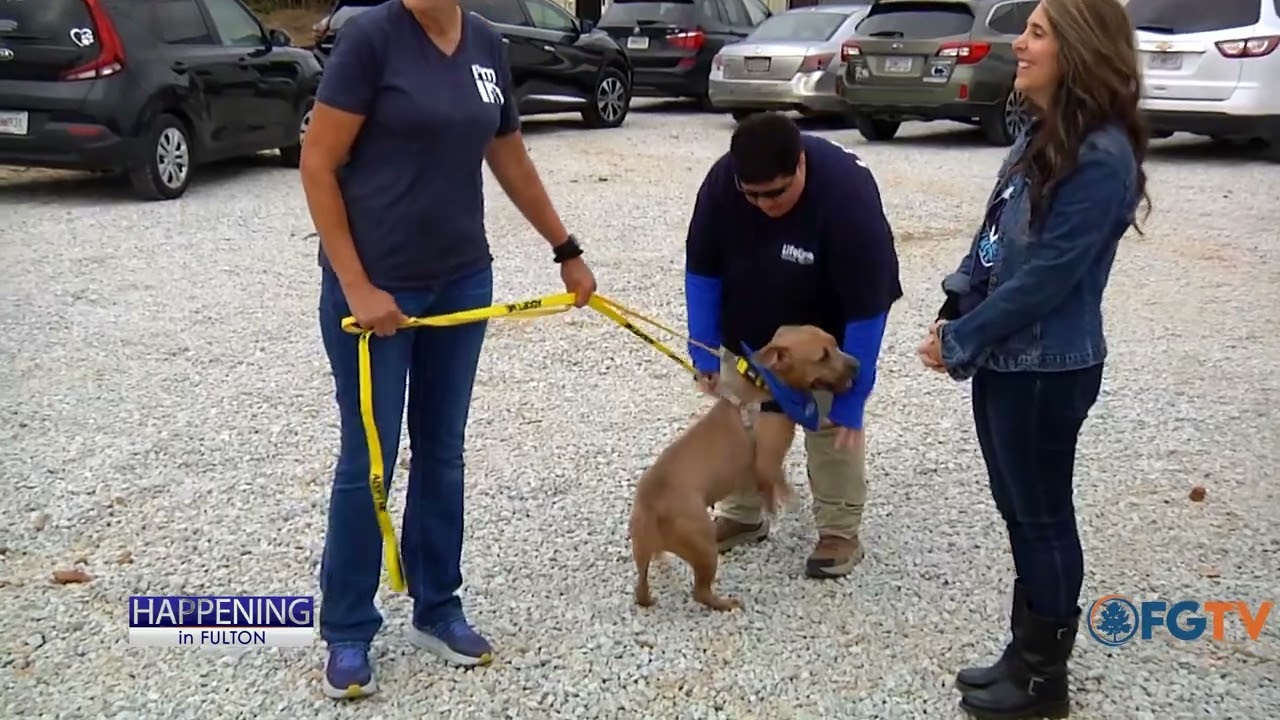 Topping Ceremony for New Animal Shelter