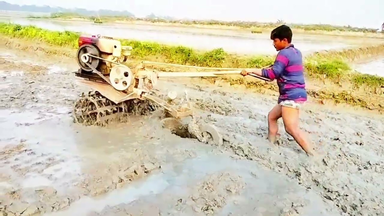 Tractor video | ট্রাক্টর দিয়ে জমি হাল চাষ করা হচ্ছে |