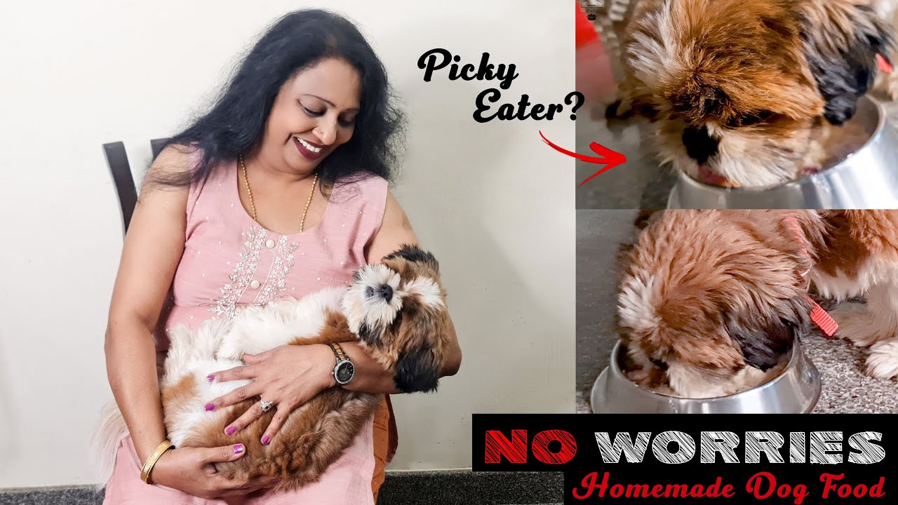 Super easy Homemade Dog Food Recipe for Picky Eater! | Shih Tzu | Budget Friendly | Nandu's Kitchen