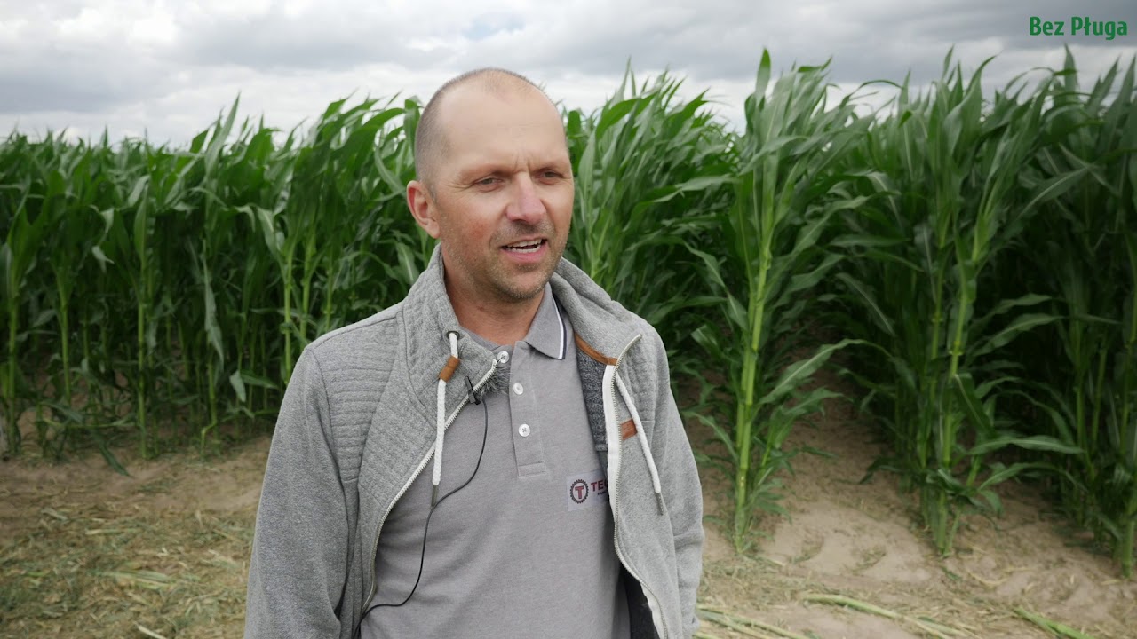 Uprawa bezorkowa w opinii praktyków | FARMER.PL