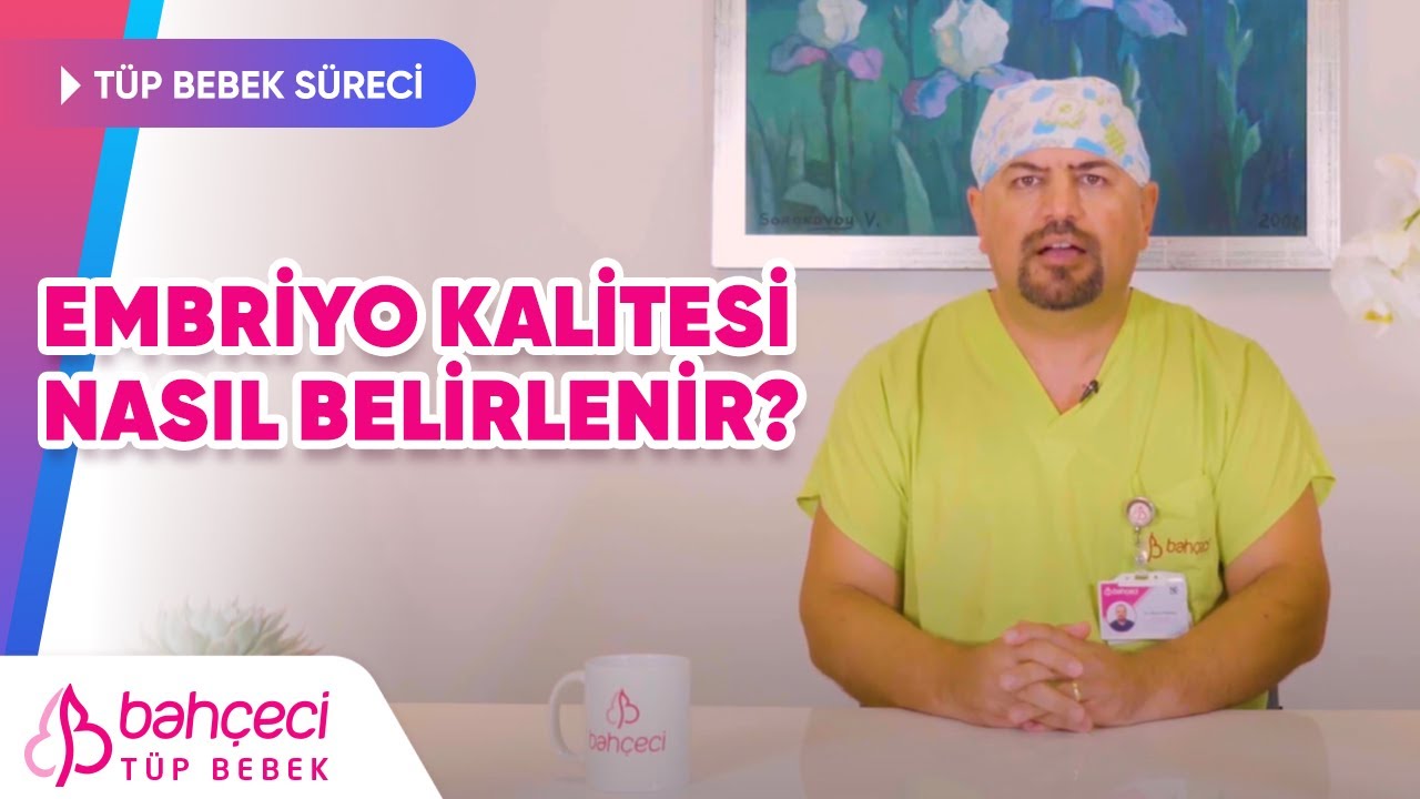 Embriyo Kalitesi Nasıl Belirlenir? | Bahçeci Tüp Bebek