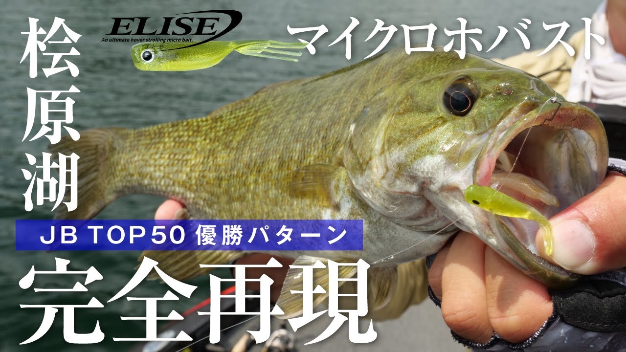 【桧原湖/バス釣り】2023年JB TOP50桧原湖戦 優勝パターンを完全再現 / 藤田夏輝