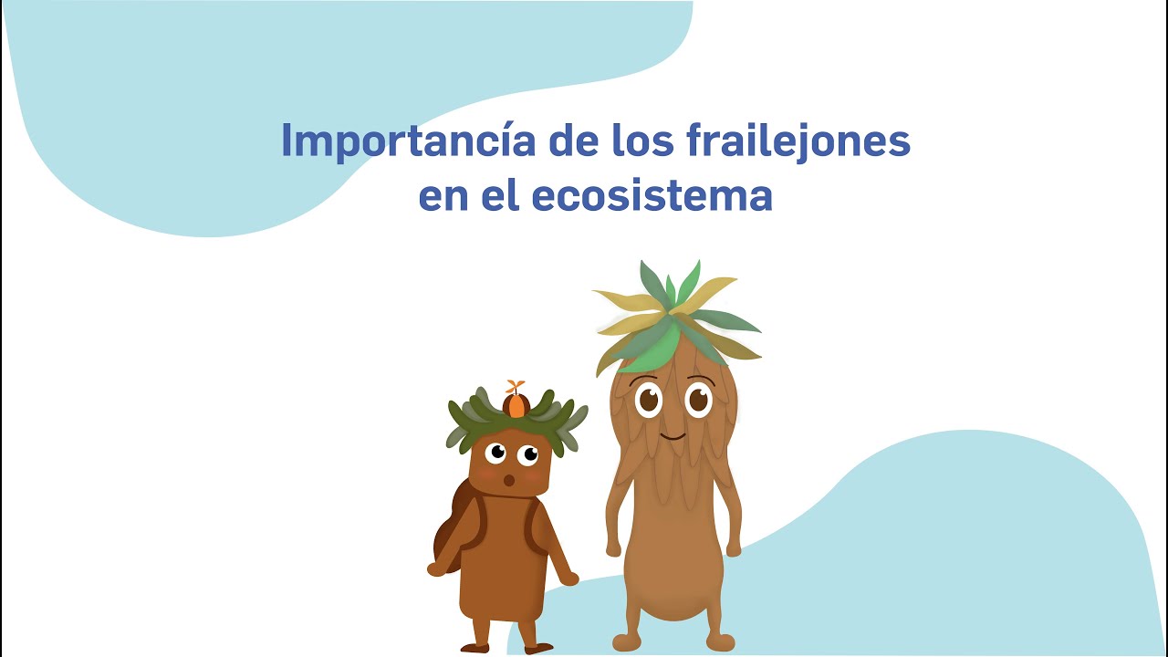 IMPORTANCIA DE LOS FRAILEJONES EN EL ECOSISTEMA