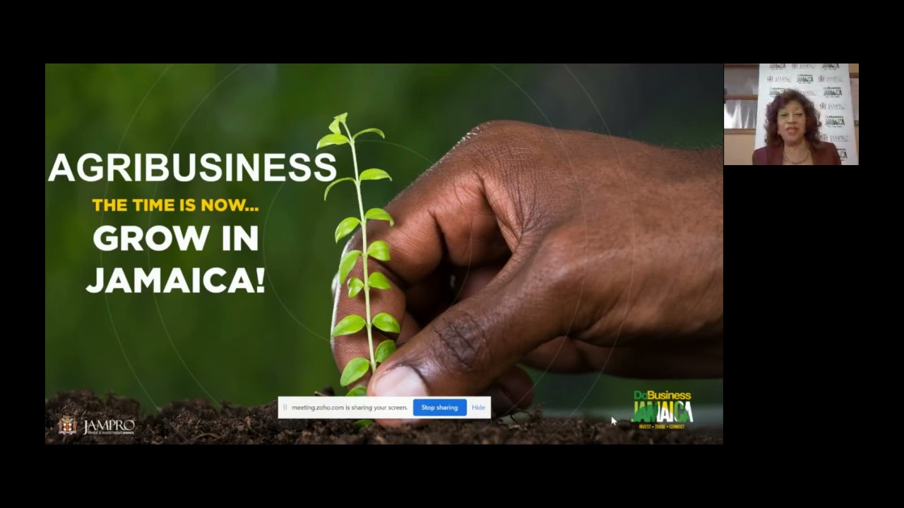 THINK GLOBAL CONFERENCE 2021: Invest in Jamaica