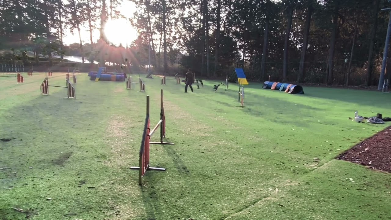 2026.2.20 AG3 LUCAS vs KIINA