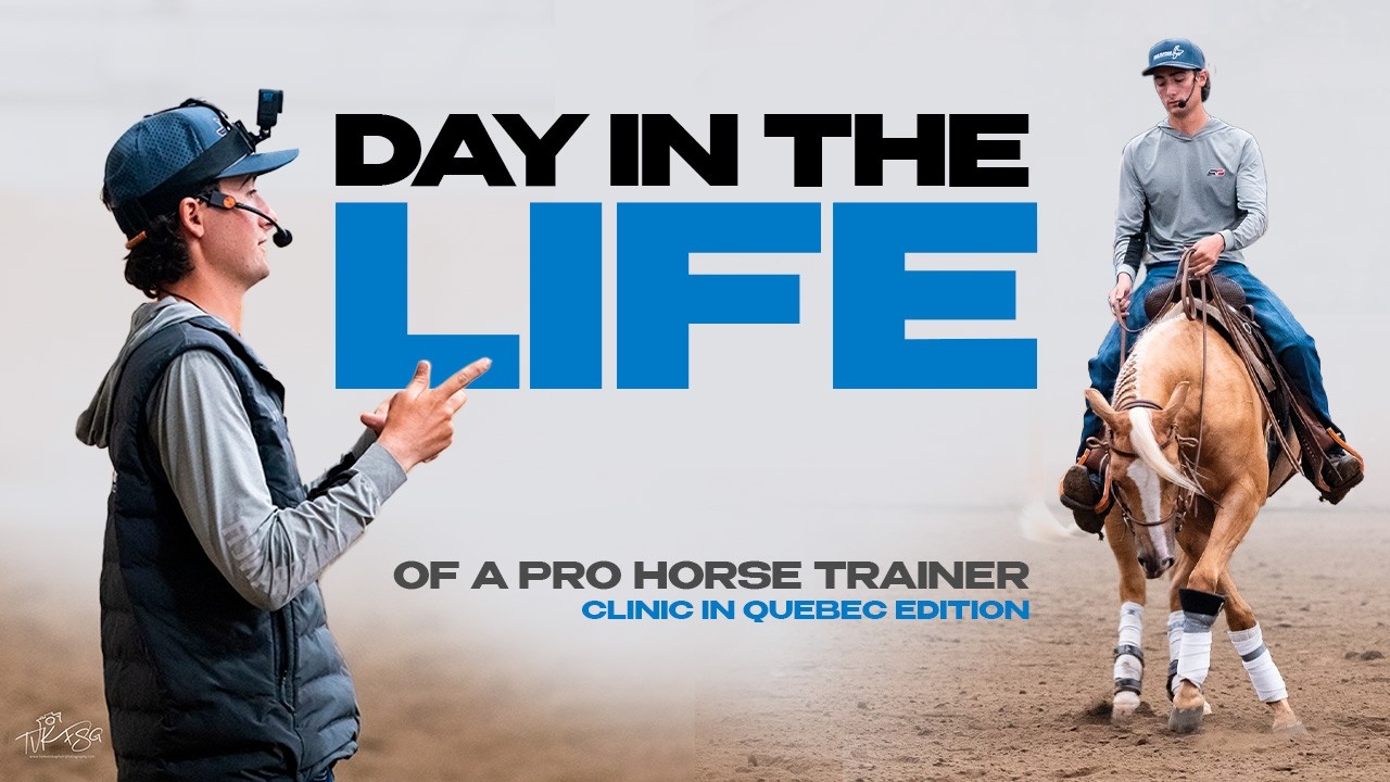 Horse Training | Reining Clinic in Quebec
