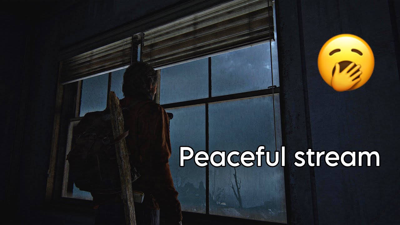 Watch The Rain With Joel as i Sleep