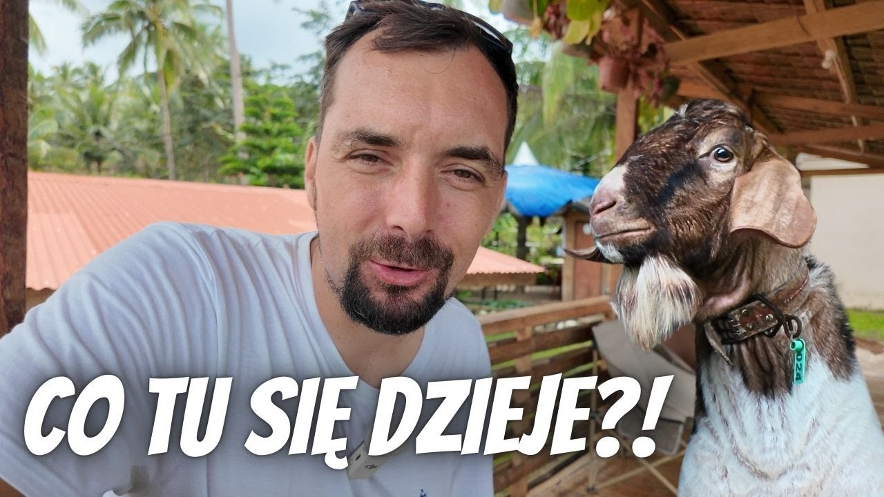 Rodzinny wypad na kozią farmę – dzieci OSZALAŁY