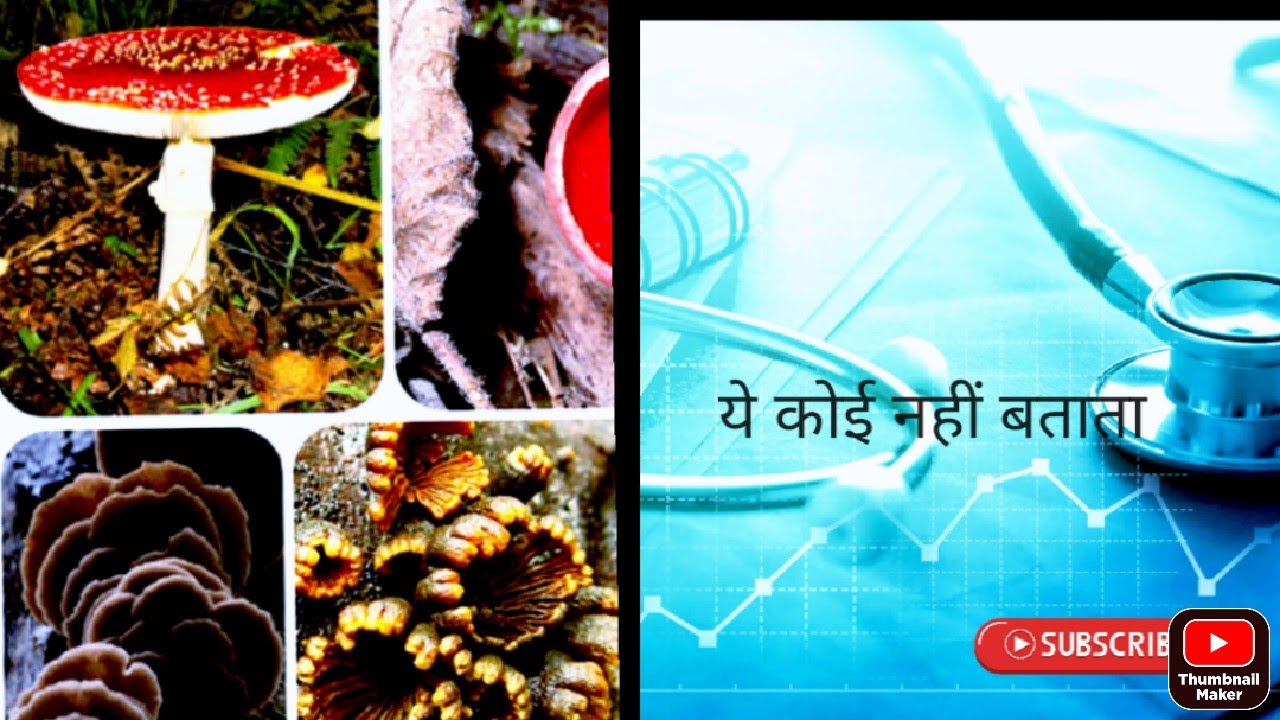 short  trick reproduction in fungi for board. neet