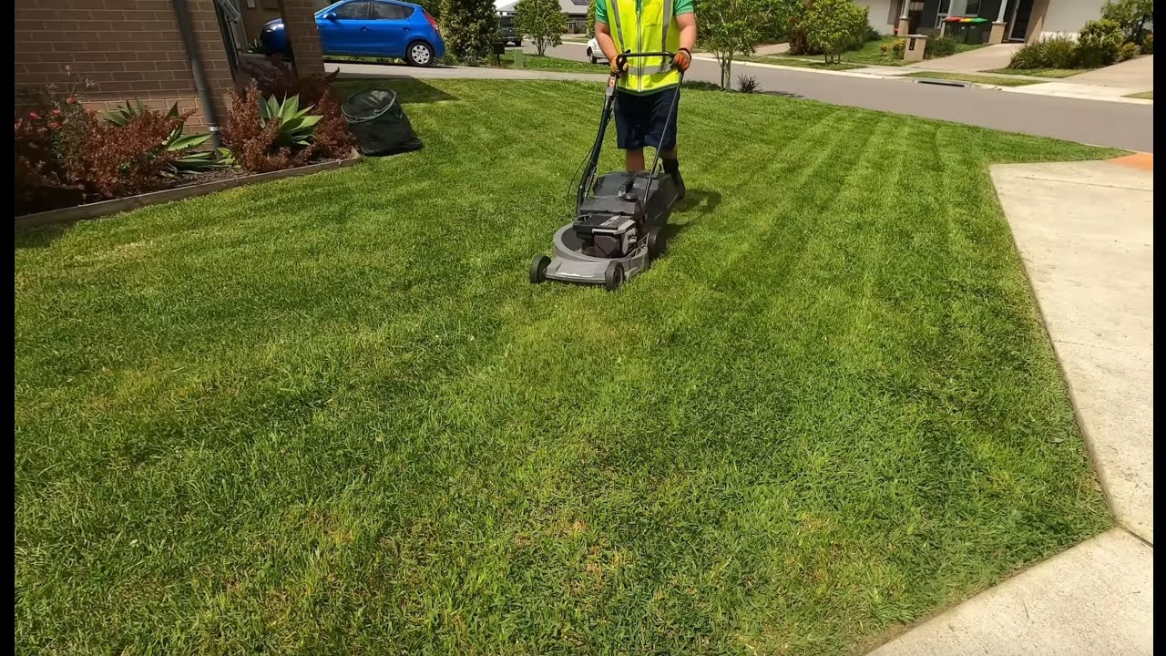 SATISFACTION! CLOVER FIELD MOWED 2022 edition