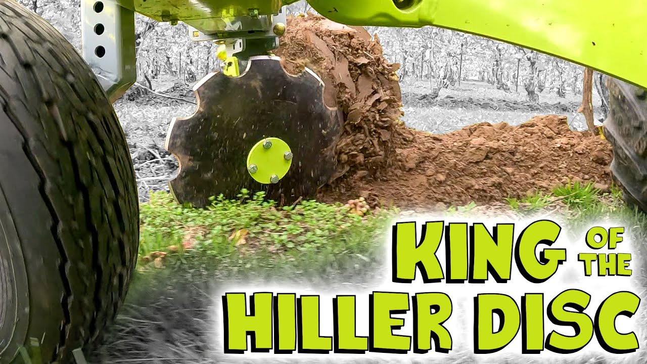 King Of The Hiller Disc - Hill/Dehill Vineyards, Orchards & More