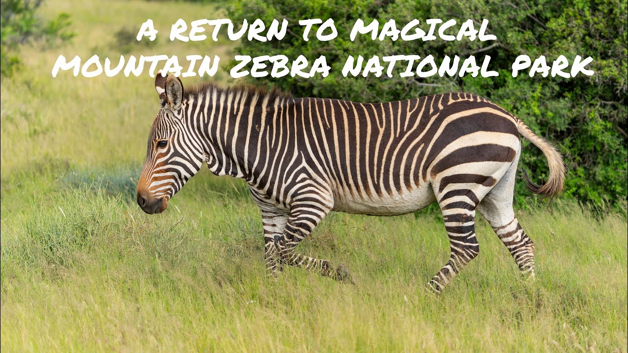 Cape Town Road trip: Day 1 - on the road again, destination Mountain Zebra National Park