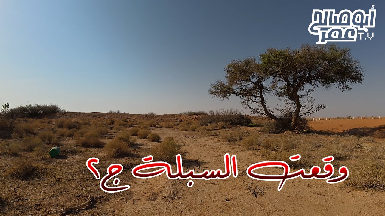 وقعت السبلة الجزء الثاني