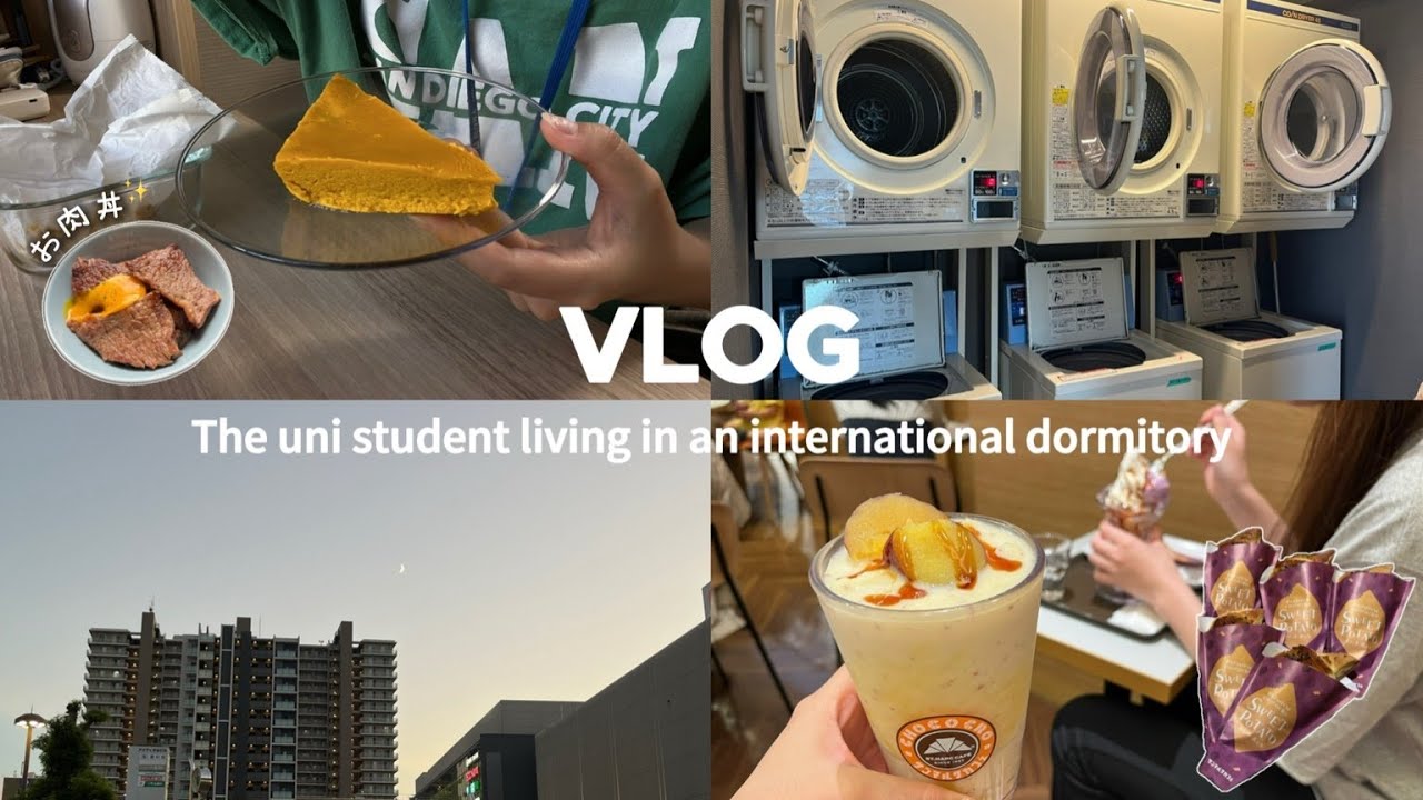【VLOG＋ミニマイブイログ付き】👩🏻霜取り🧊 | お肉丼🍚 | お出かけ👶🏻🩵