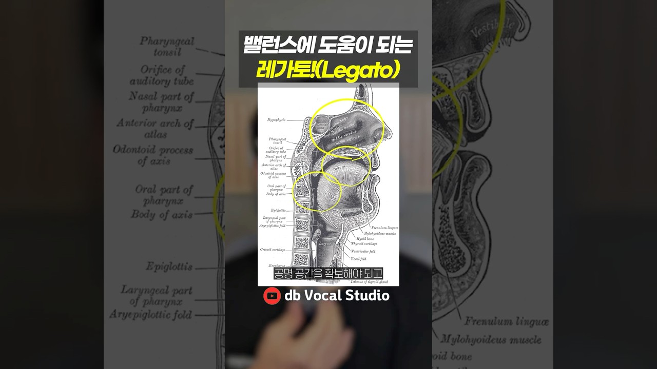 발성의 밸런스를 맞추기 딱 좋은 '레가토(Legato)' 기법!