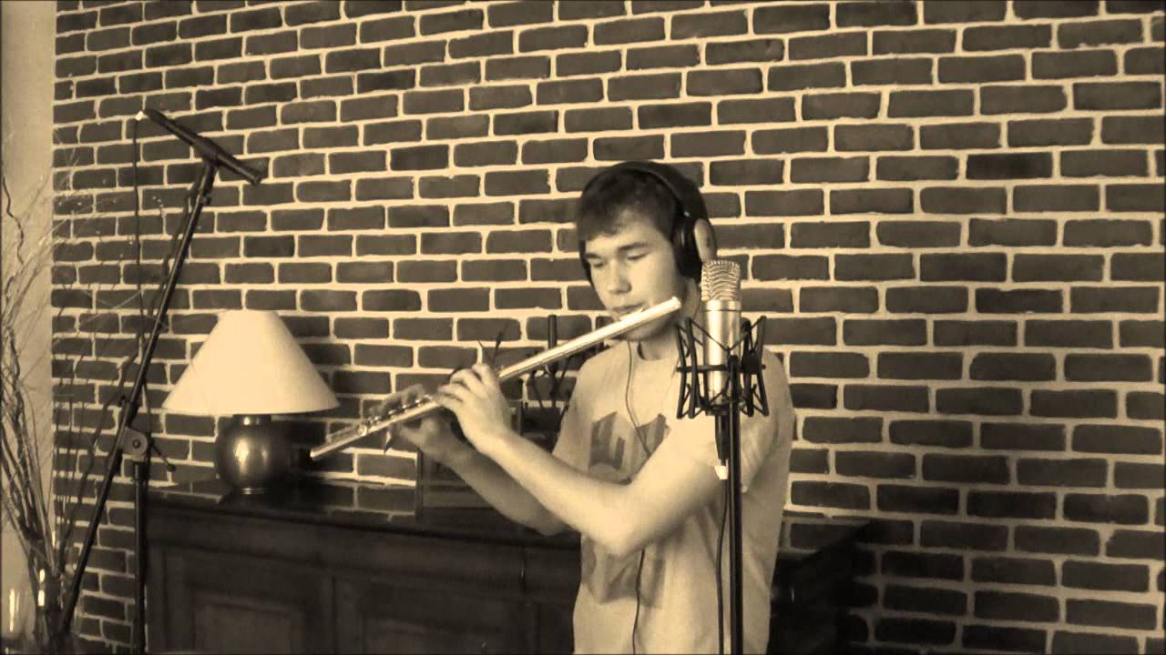 Fly Me To The Moon - Flute cover