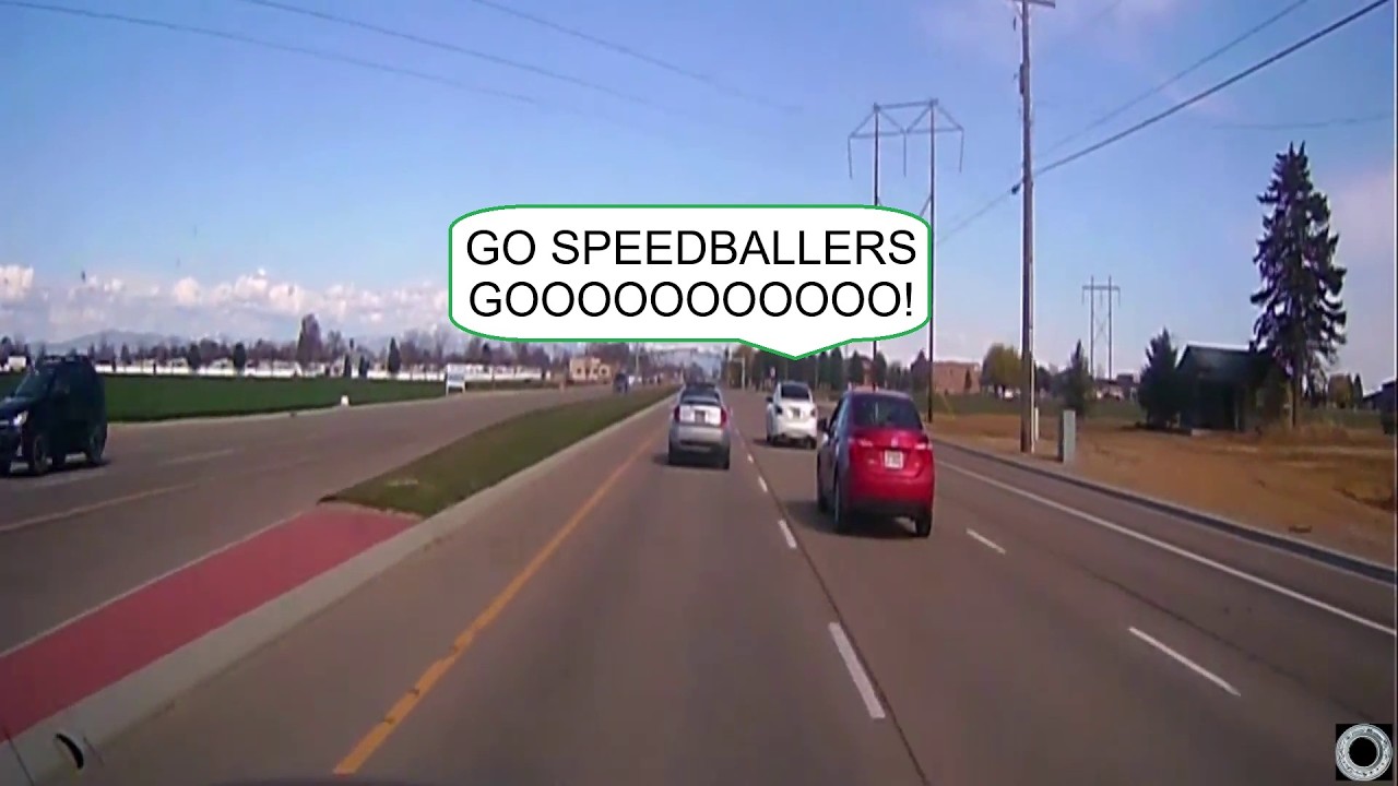 When I Got The Rex Pun: Trafficality Rewind