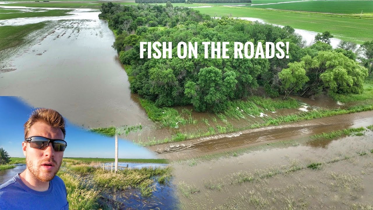 Heavy Rain caused a Flood