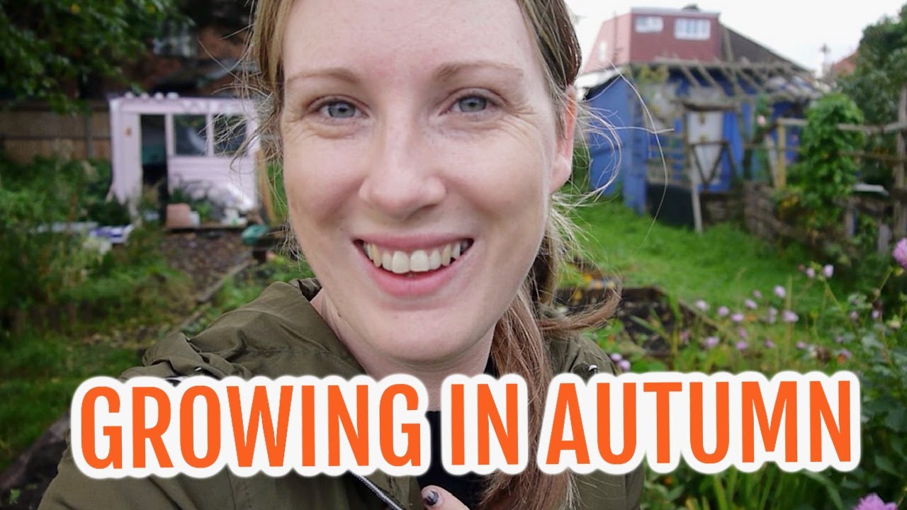 GROWING IN THE AUTUMN TIME / EMMA'S ALLOTMENT DIARIES / OCTOBER 2021