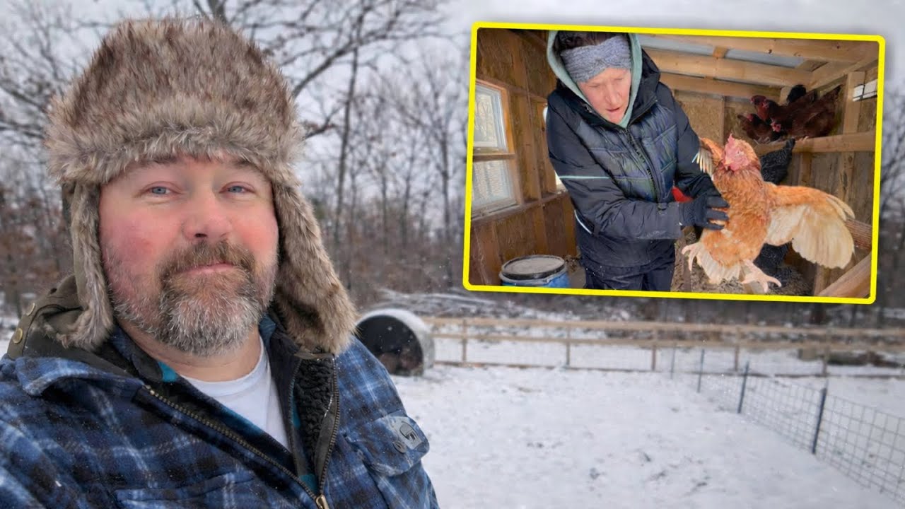 We Found One of Our Animals Barely Alive in the Snowstorm